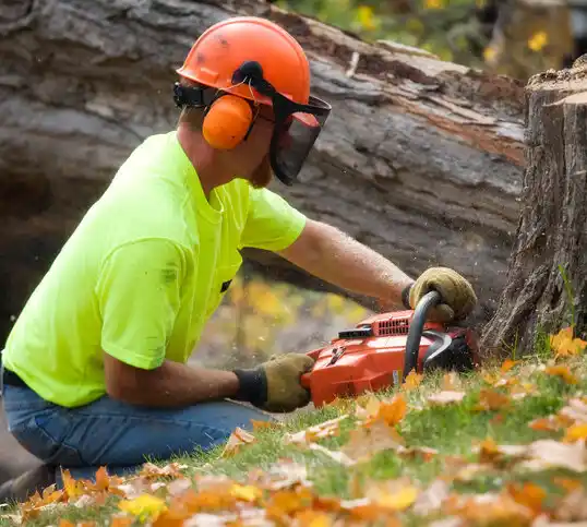 tree services Krotz Springs